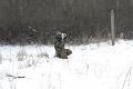 A08_8893 [800x600]